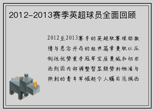 2012-2013赛季英超球员全面回顾